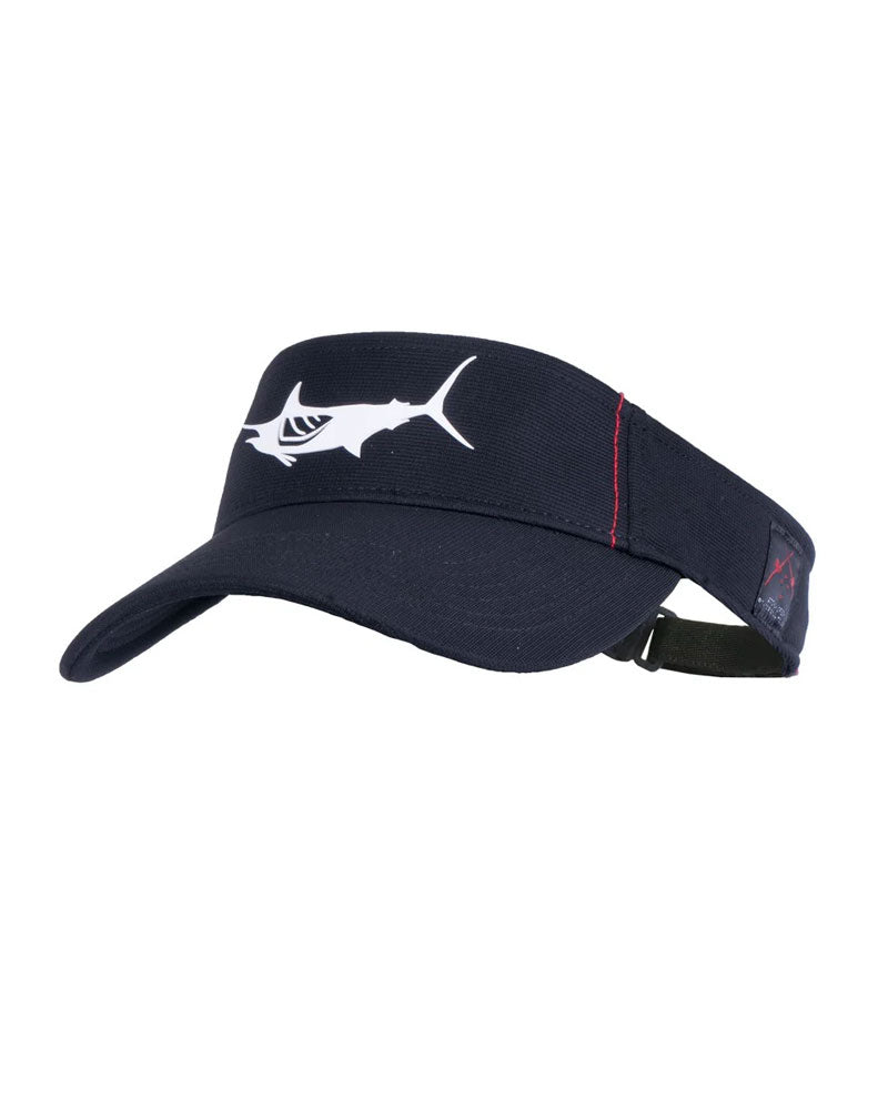 Blue Marlin Flybridge Visor