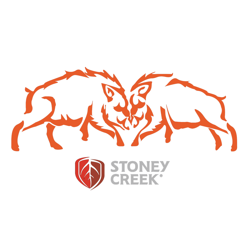 Boars Fighting Vinyl Decal - 150mm