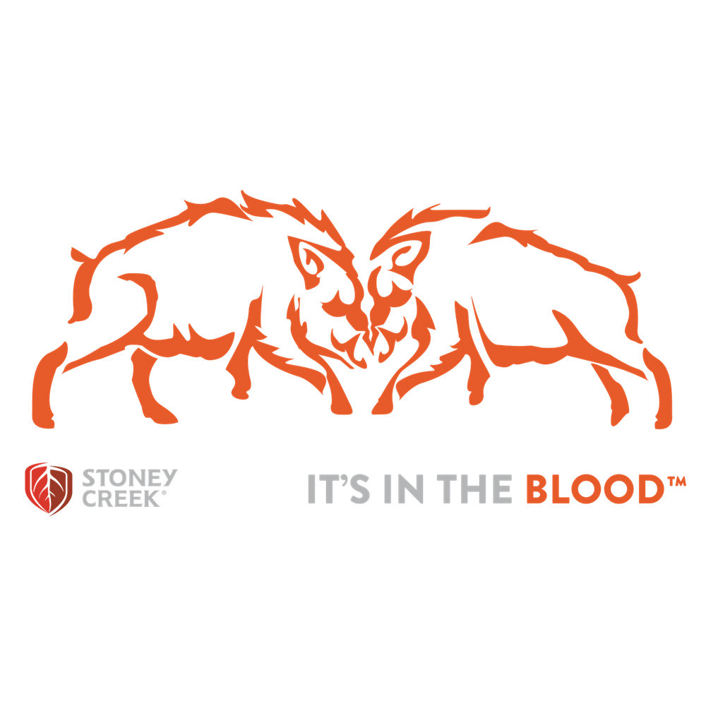 Boars Fighting Vinyl Decal - 500mm