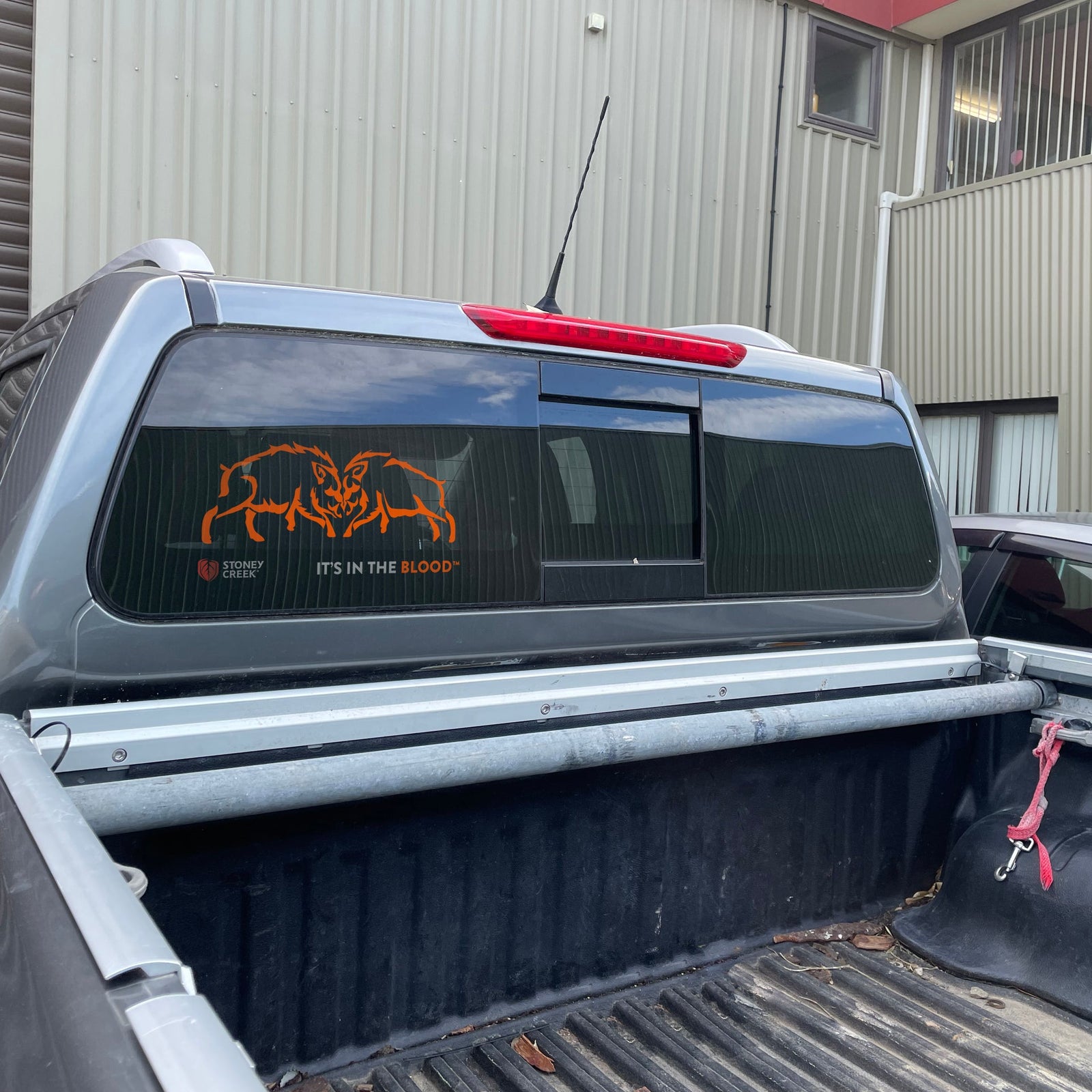 Boars Fighting Vinyl Decal - 350mm